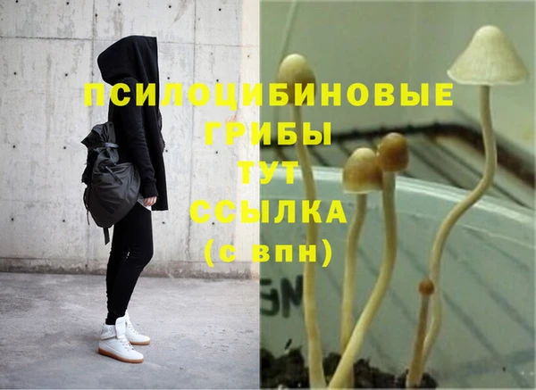 PSILOCYBIN Майский