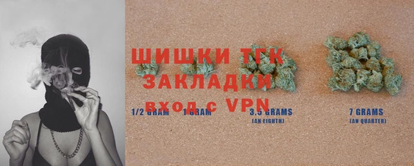 PSILOCYBIN Майский
