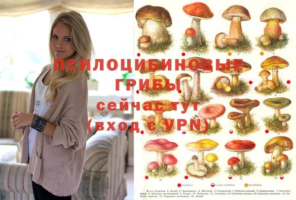 дистиллят марихуана Магас