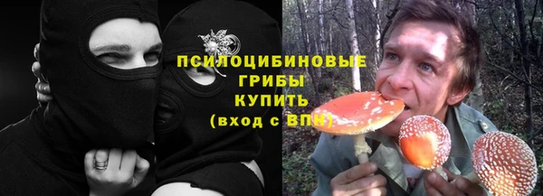 PSILOCYBIN Майский
