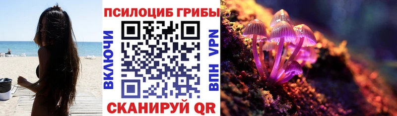 Галлюциногенные грибы мицелий  Ачинск 
