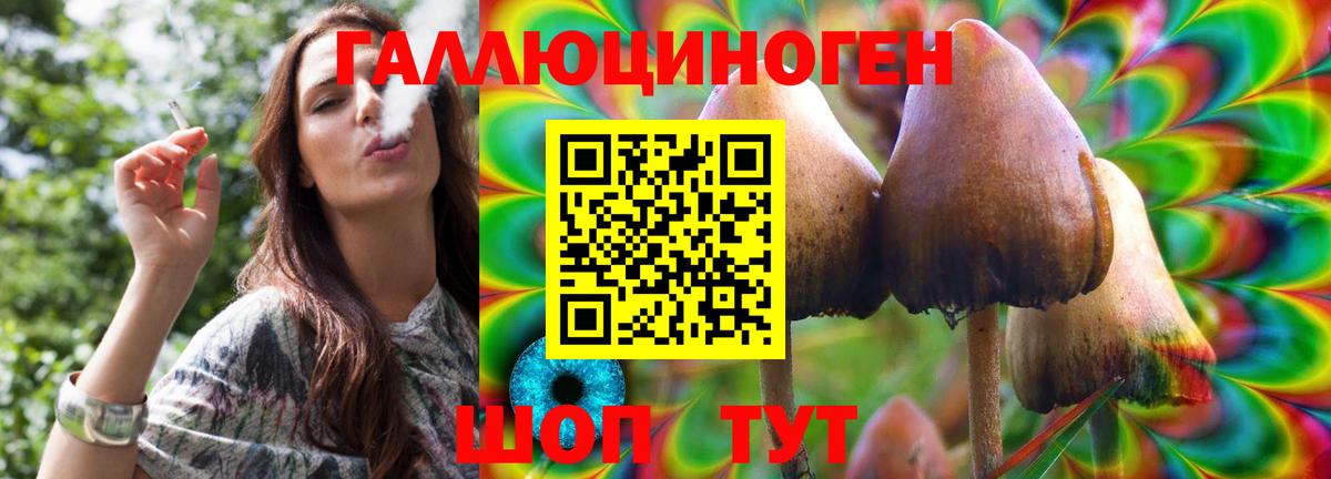 Галлюциногенные грибы Psilocybine cubensis  Ачинск 